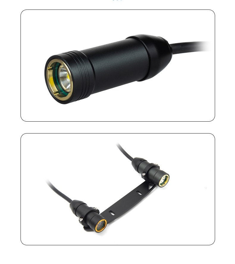 1200 дней в году 5