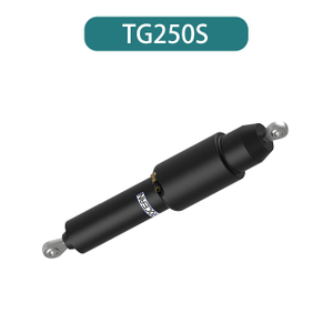  Электрические бегуны TG250S