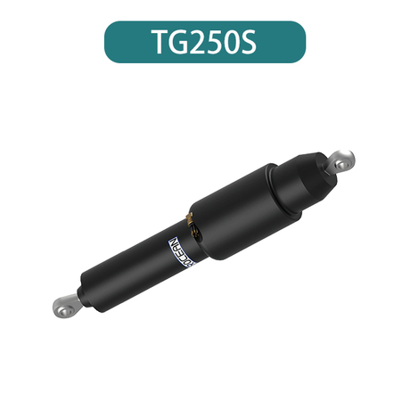  Электрические бегуны TG250S