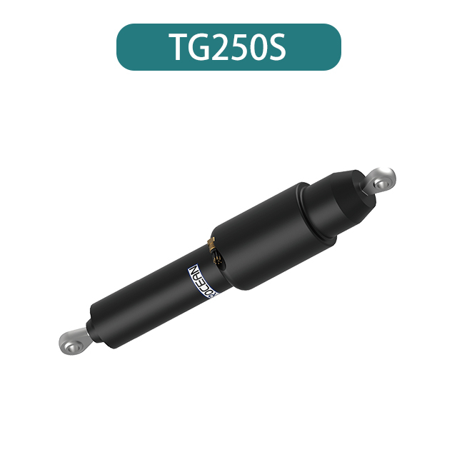  Электрические бегуны TG250S