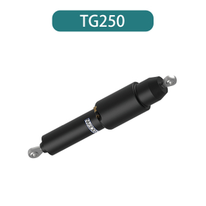 Электрические бегуны TG250