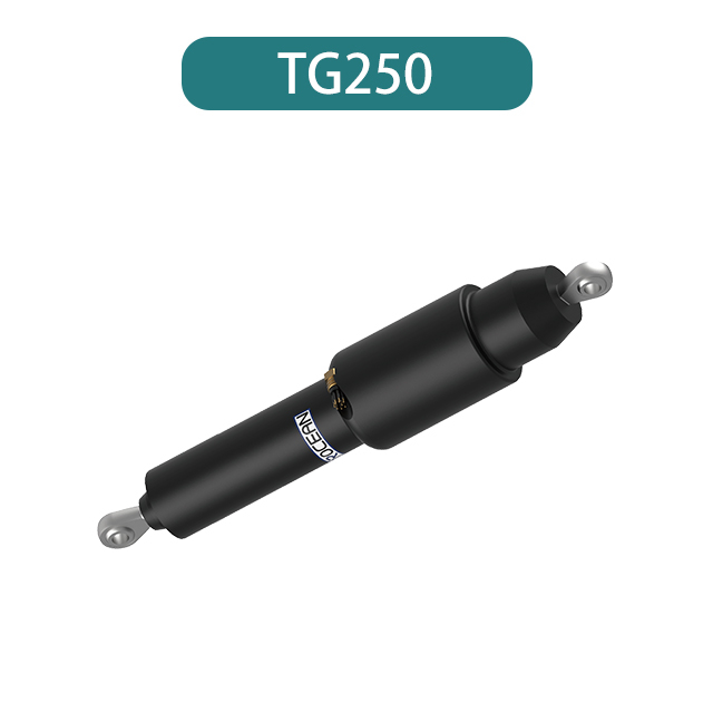 Электрические бегуны TG250